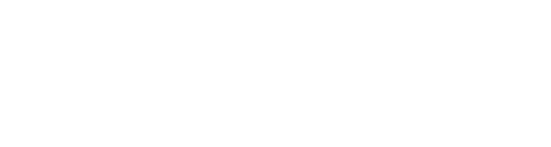 Xirgo logo